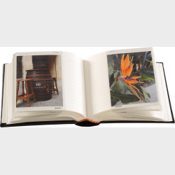 Focus Ritz Super 100 10x15 Black