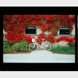 SantaColor 100 (35mm) 36exp.