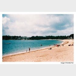 Harman Phoenix ISO 200 135-36