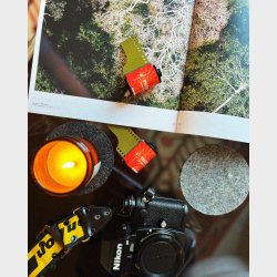 Harman Phoenix ISO 200 135-36