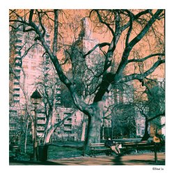 Harman Switch Azure ISO 125 120 Film