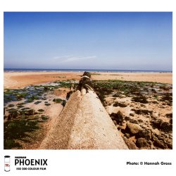 Harman Phoenix Colour 200 - 120