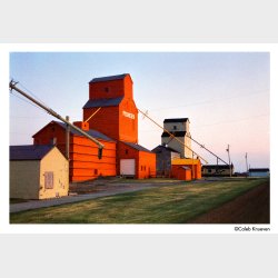 Harman Phoenix II ISO 200 135-36 film