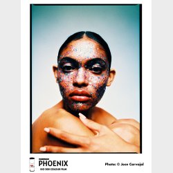 Harman Phoenix Colour 200 - 120