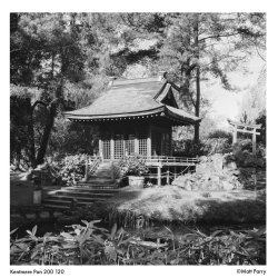  Kentmere 200 135-24 film