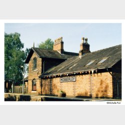 Harman Phoenix II ISO 200 120 film