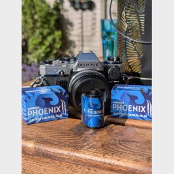 Harman Phoenix II ISO 200 135-36 film