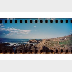 Lomography 800/36 Colorneg 3-pack