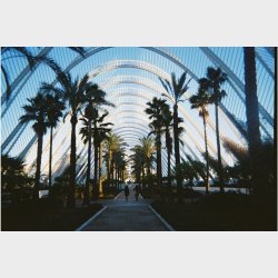 Lomography Simple Use Camera 400/36 Color Negative