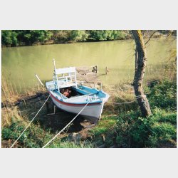 Lomography Simple Use Camera 400/36 Color Negative