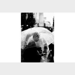 Lomography Earl Gray 100/135/36exp B&W Film - 3 pack