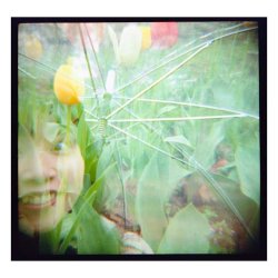 Lomography 800/120 color