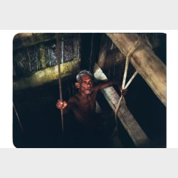 Lomography 100/36 Colorneg 3-pack