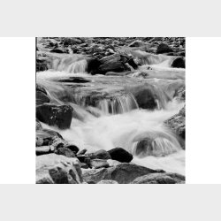 Lomography 400/120 B&W Lady Grey 3-pack