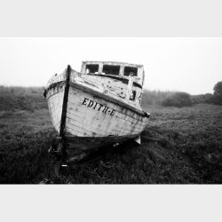 Lomography Earl Gray 100/135/36exp B&W Film - 3 pack