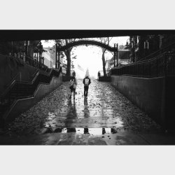 Lomography Lady Grey 400/36 B&W 3-pack