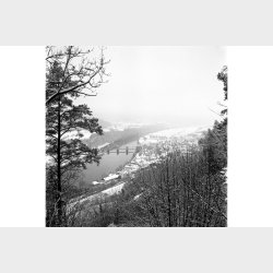 Lomography 400/120 B&W Lady Grey 3-pack