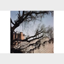 LomoChrome Metropolis 120 - 2021 Film 1-pack