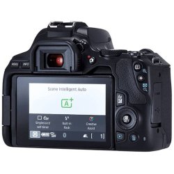 Canon EOS 250D Black 18-55 IS STM