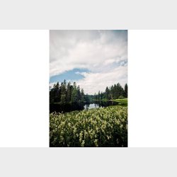 Lomography 100/36 Colorneg 3-pack