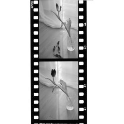 Adox Scala 50 S/H 135/36