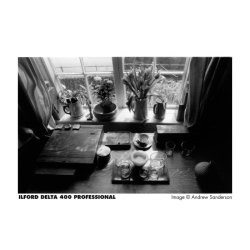 ILFORD DELTA 400 135-36 S/H
