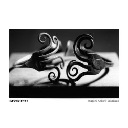 ILFORD FP4 PLUS 135-36