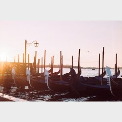 Ilford Ilfocolor 400 Vintage Tone 35mm 24 Exposure film